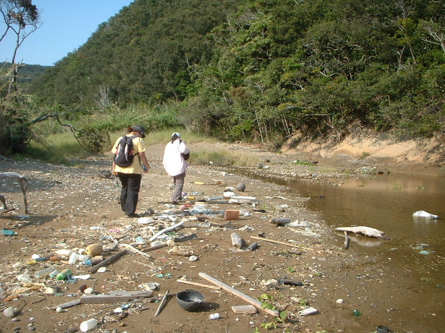 e0060485_22175260.jpg