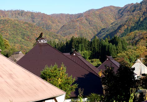 d0088788_2253236.jpg