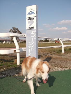 e0060288_0165940.jpg