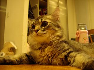 f0081594_13334263.jpg