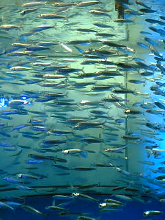 a0088095_18213740.jpg