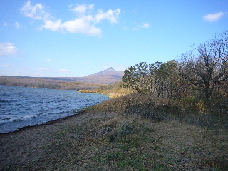 d0015096_8462420.jpg