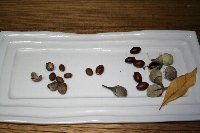 e0122199_17193951.jpg