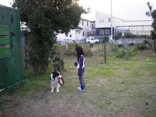 f0034602_19121797.jpg