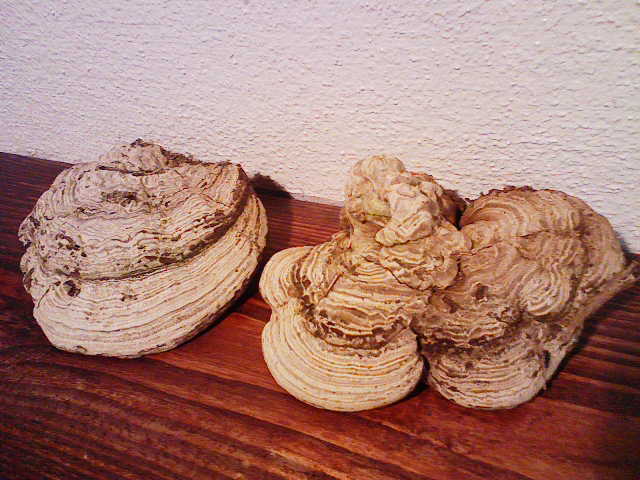 c0037103_13524969.jpg