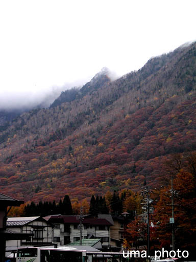 b0061004_045771.jpg