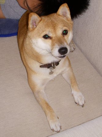 f0004309_1742479.jpg