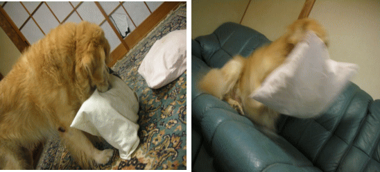 c0017311_943451.gif