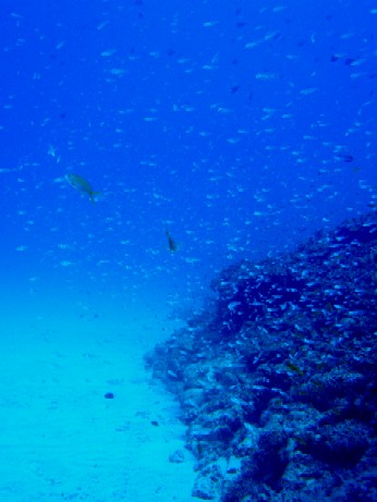 f0043911_205954.jpg