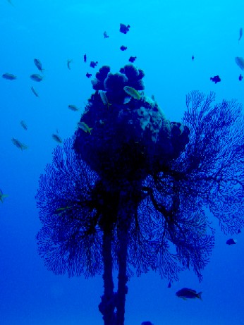 f0043911_214415.jpg