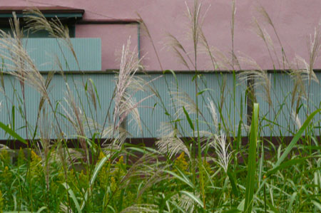 f0056516_1512179.jpg