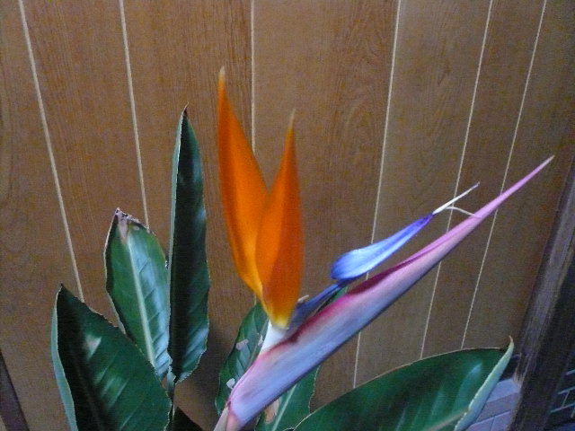 e0026017_2232562.jpg