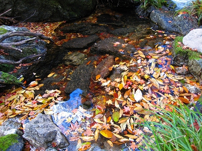e0002820_2222788.jpg
