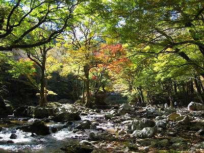 e0002820_2224465.jpg