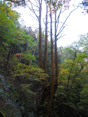e0002820_2232341.jpg