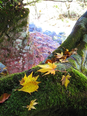 e0002820_223515.jpg