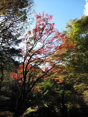 e0002820_2261850.jpg