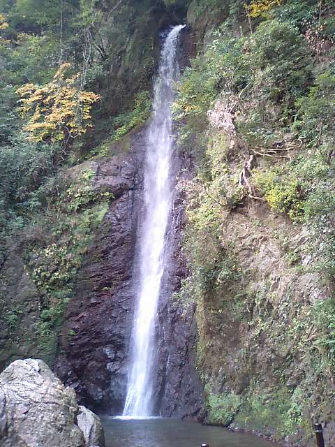 e0123920_057366.jpg