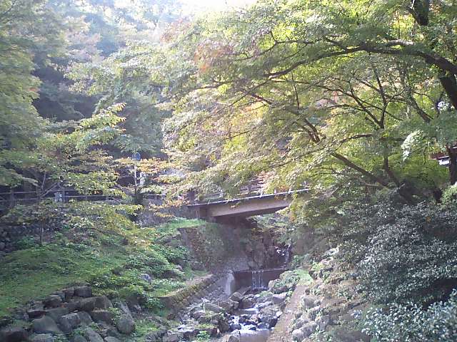 e0123920_1163365.jpg
