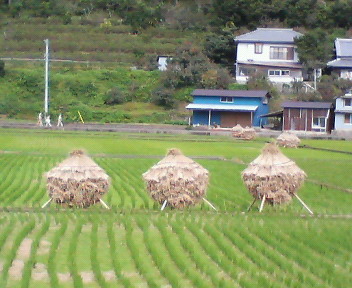 f0036223_20293166.jpg