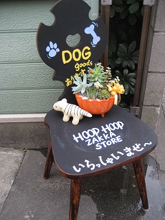 b0006329_02425.jpg