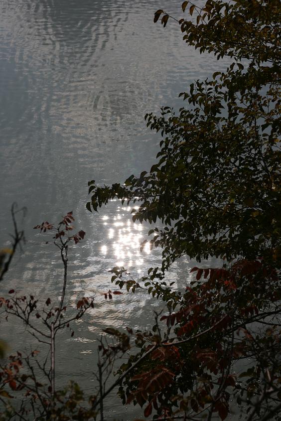 b0083431_17391435.jpg