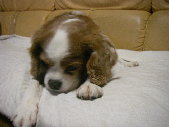 c0136838_0305937.jpg