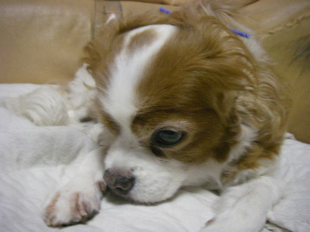 c0136838_0481450.jpg