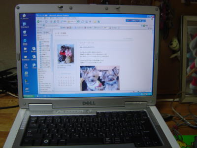 b0001440_2163288.jpg