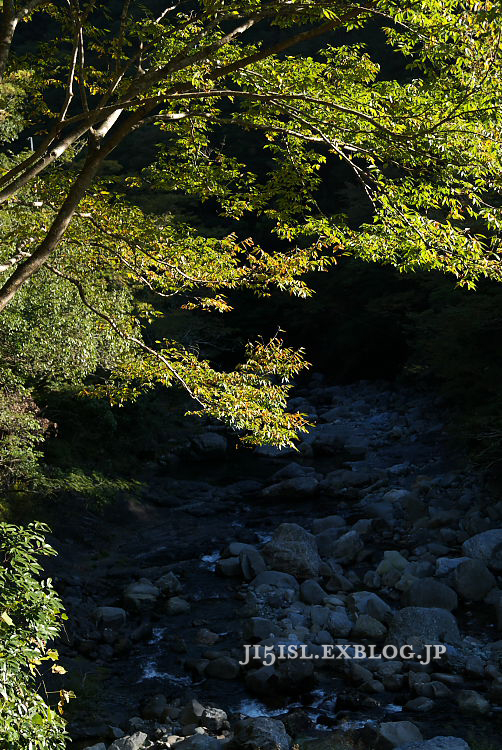 a0078341_2154579.jpg