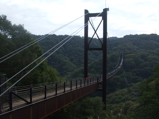e0085543_15513799.jpg