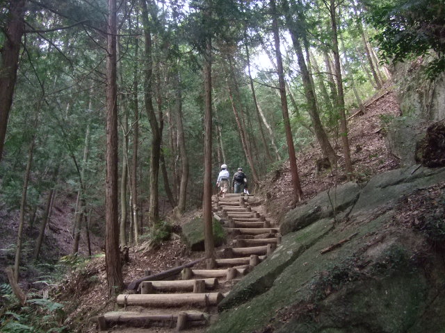 e0085543_1553736.jpg