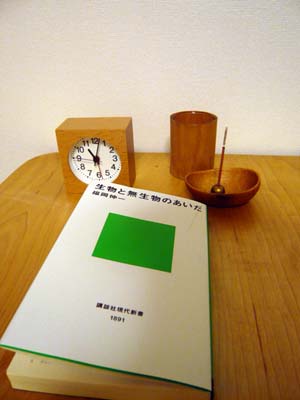 c0131544_2391172.jpg