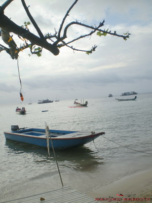 e0027447_14441082.jpg