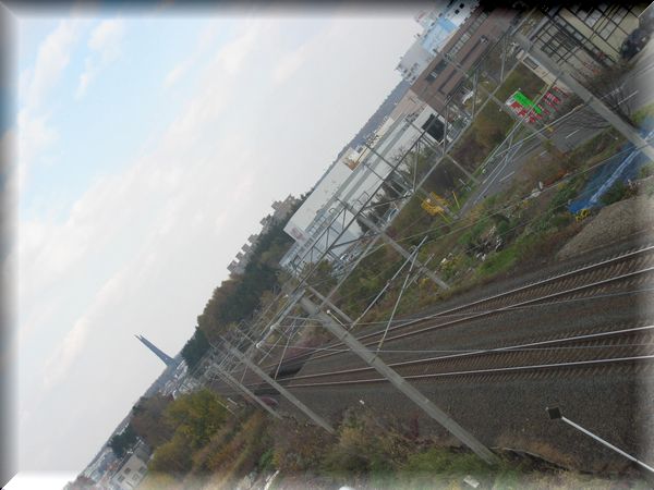 f0153450_16461660.jpg