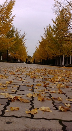 e0112057_2174352.jpg