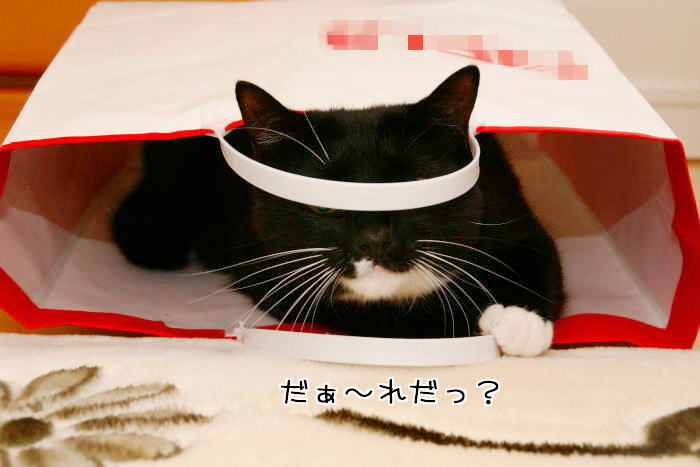 f0142061_758510.jpg