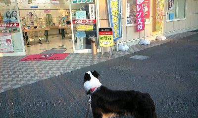 a0100564_2042776.jpg