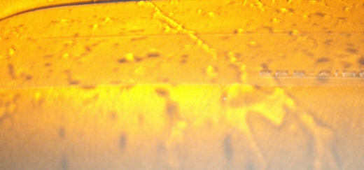 d0102968_6425415.jpg
