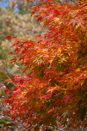 f0065768_15273065.jpg