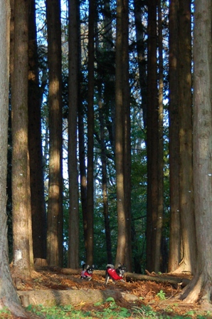 f0065768_15524667.jpg