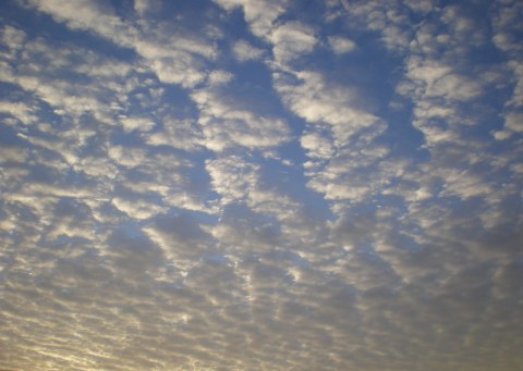 e0071972_1724436.jpg