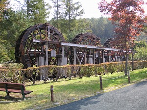 a0035678_1915861.jpg