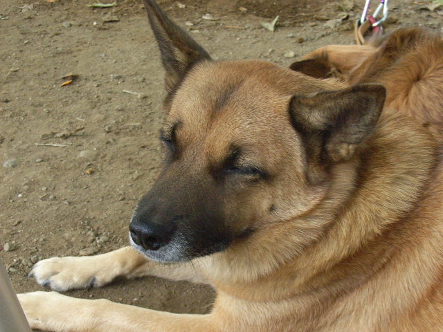 c0123890_21292758.jpg