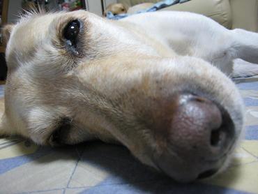 c0028792_23251258.jpg
