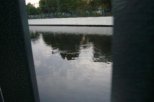 a0018200_14403794.jpg