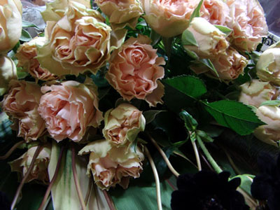 a0047200_22344357.jpg