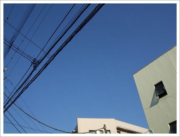 d0079302_065099.jpg