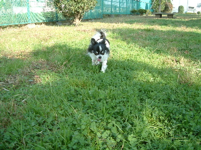 a0079803_048484.jpg