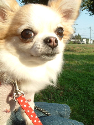 a0079803_0523648.jpg